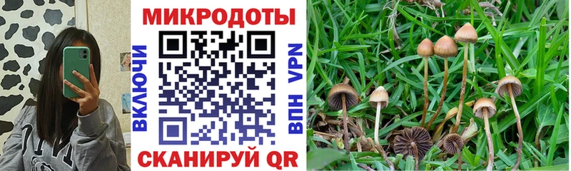 hydra рабочий сайт  Стерлитамак  Псилоцибиновые грибы мухоморы 